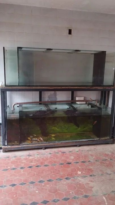 Aquário Duplo para Peixes