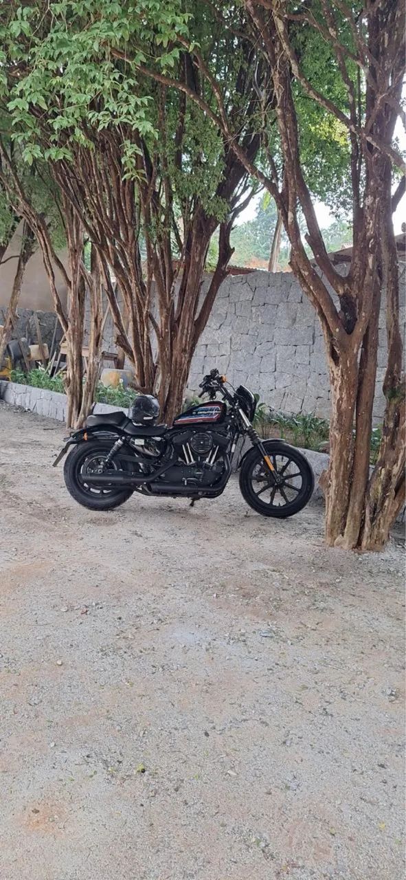 Harley davidson 
