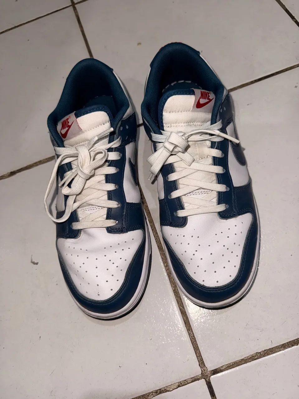Tênis Nike Dunk 