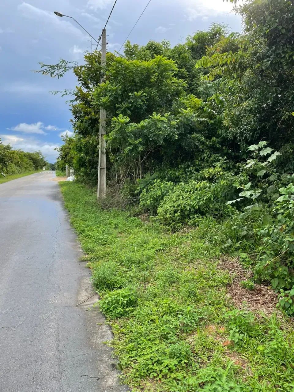 Chácara da fazenda 1 - Foto 5