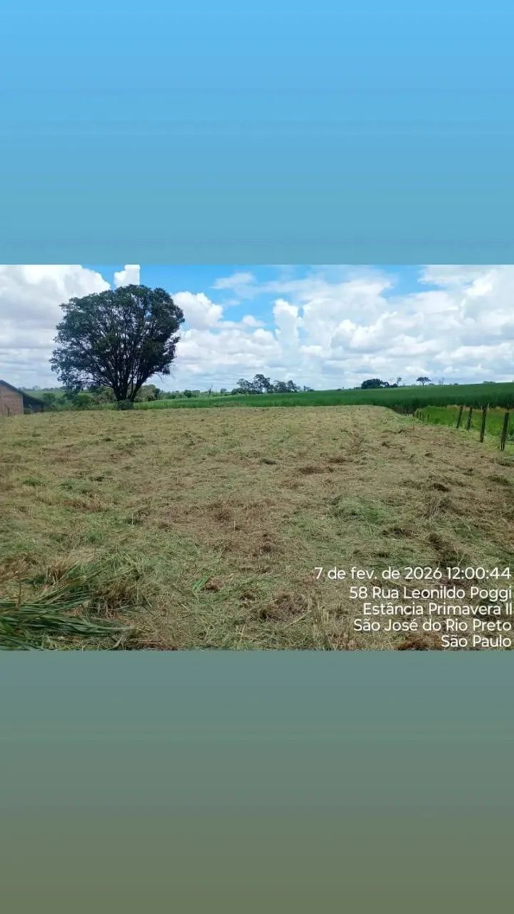 TERRENO 2500m2 - Foto 2