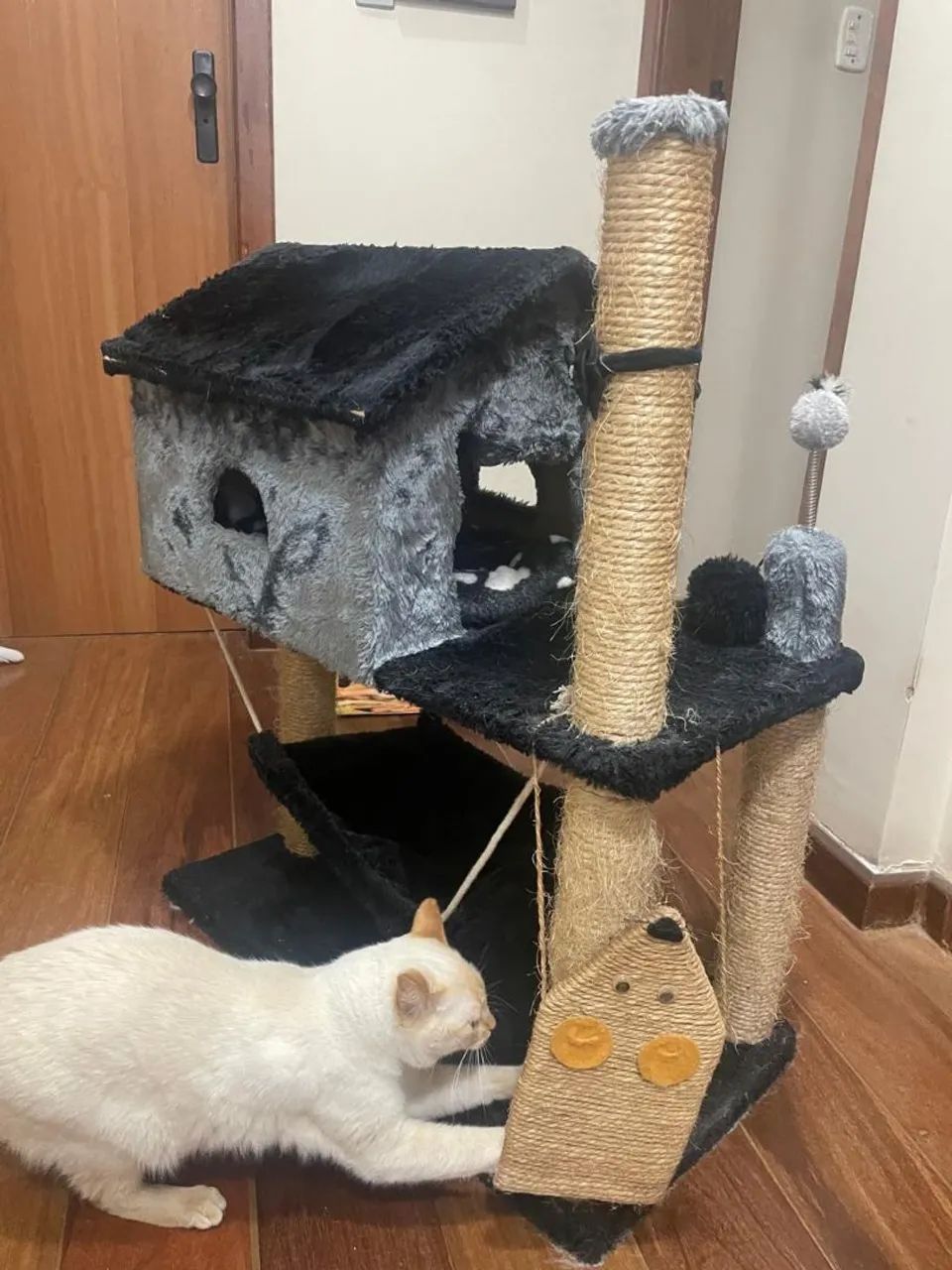 Casa de gatos - Foto 3
