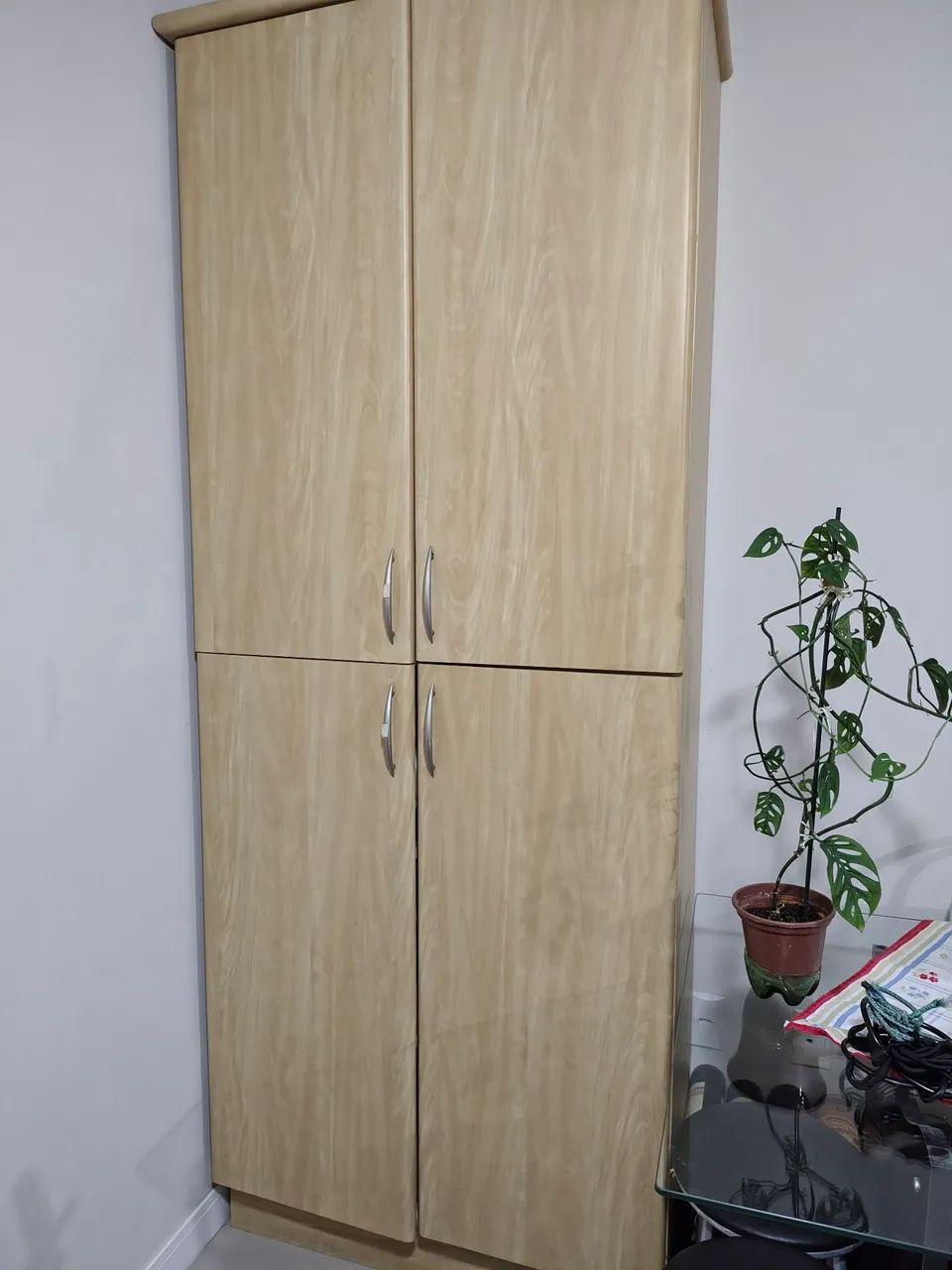 Vendo armario mantimentos e aéreo.