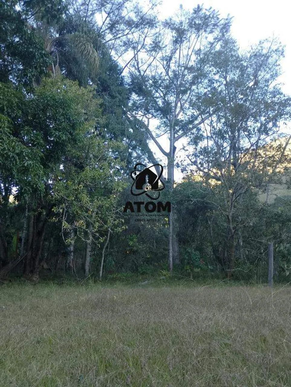 Sítio de 3,5 Alqueires em Natividade da Serra - Foto 3