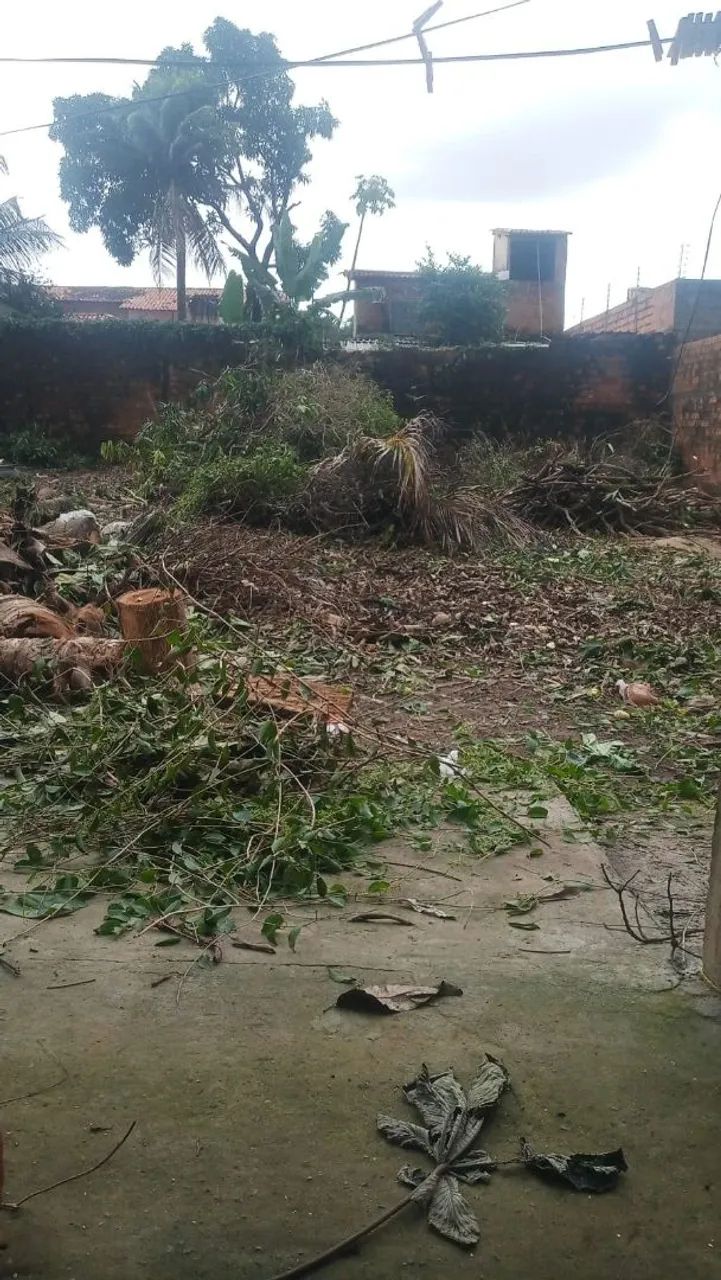 Cortes de árvores em geral moto serra  - Foto 5