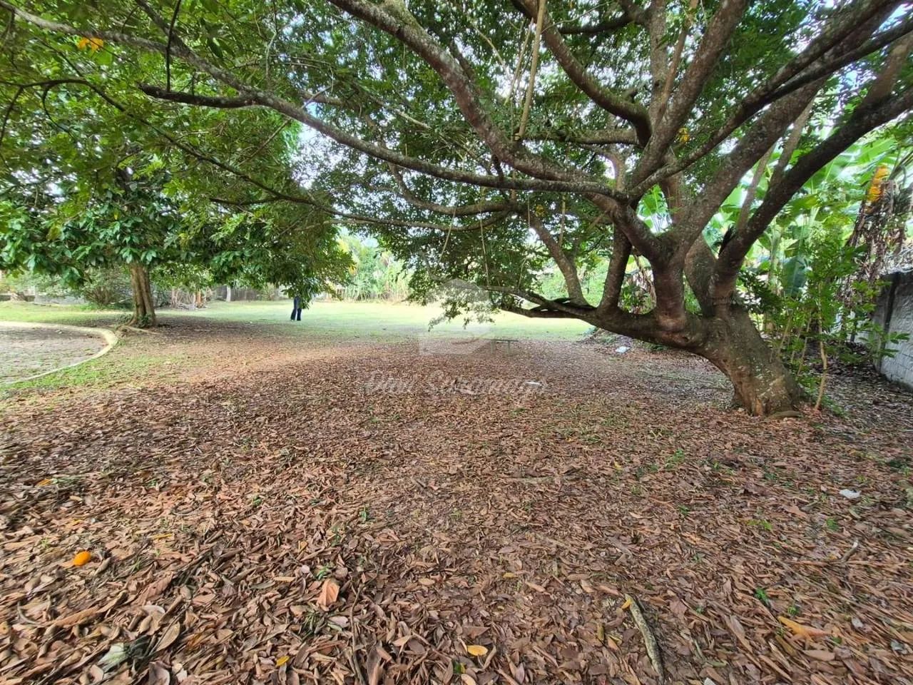 Terreno a venda em Varzeas das Moças - Foto 4