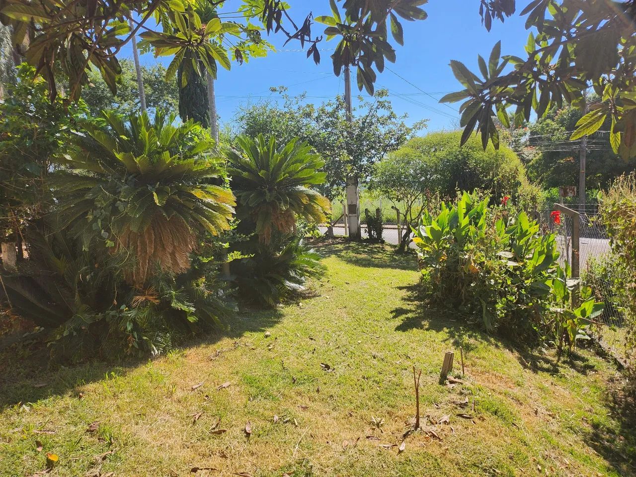 Chácara linda em área nobre  - Foto 5