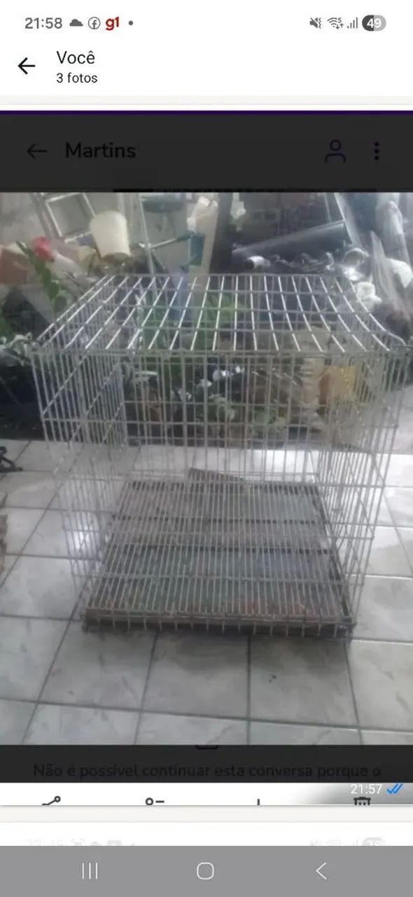 Canil gaiola