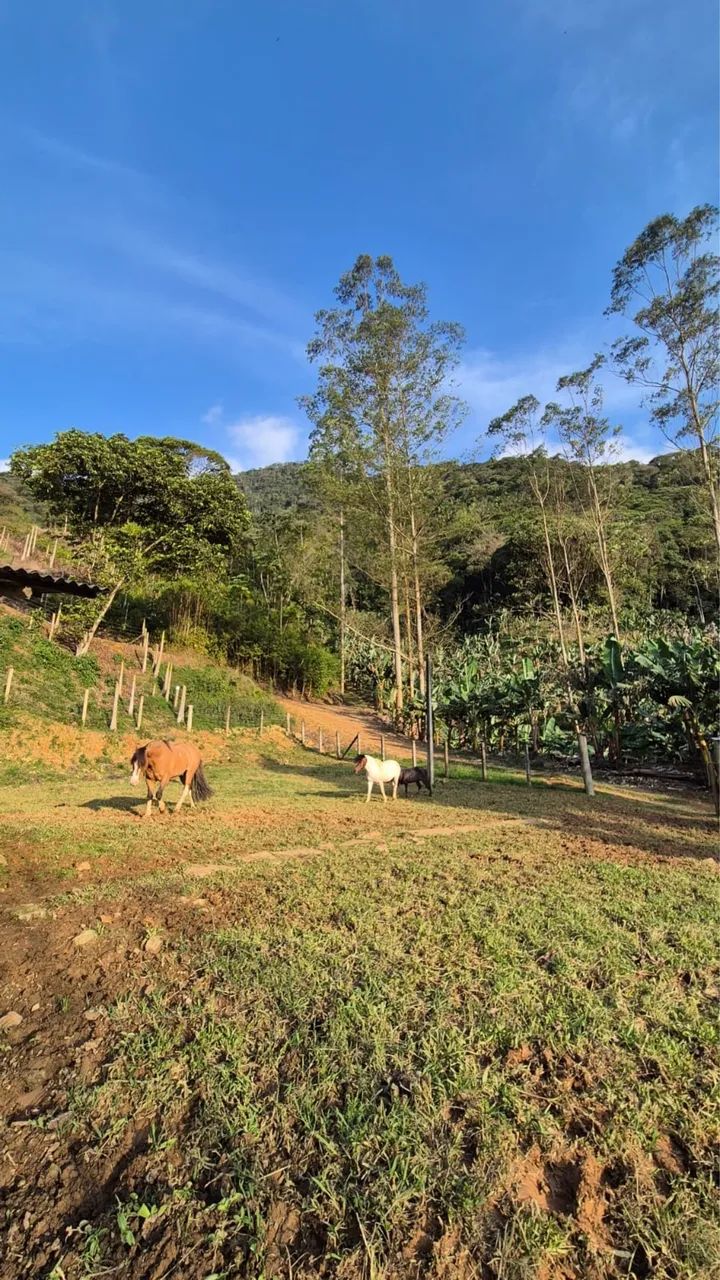 Sítio raiz  - Foto 3