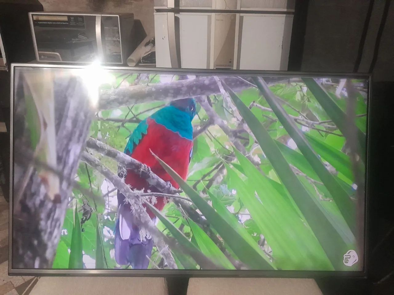 Tv 4k lg 55 polegadas  - Foto 3