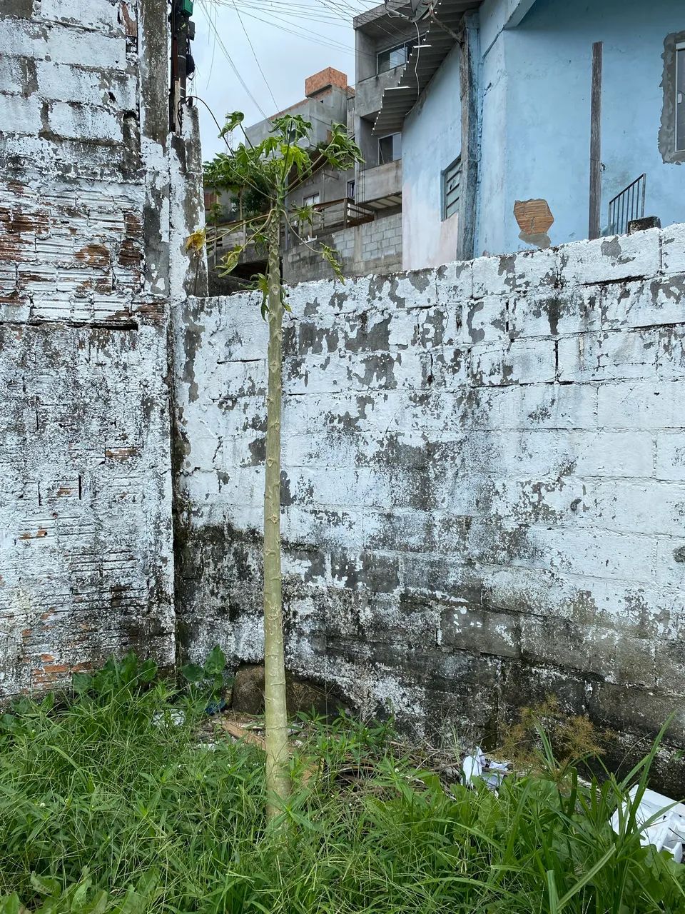 Troca ou vende -Terreno  - Foto 2