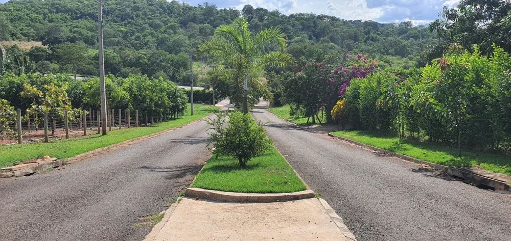Chácara com 1.500m² próximo a Nerópolis - Foto 2