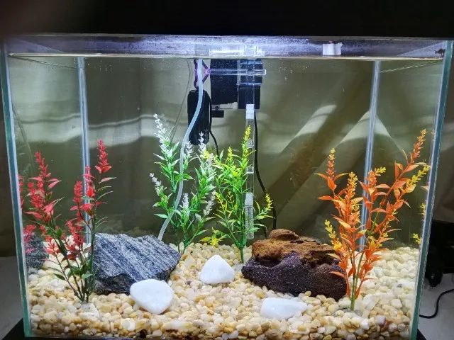 Aquário Novo e Completo 30l - Foto 4