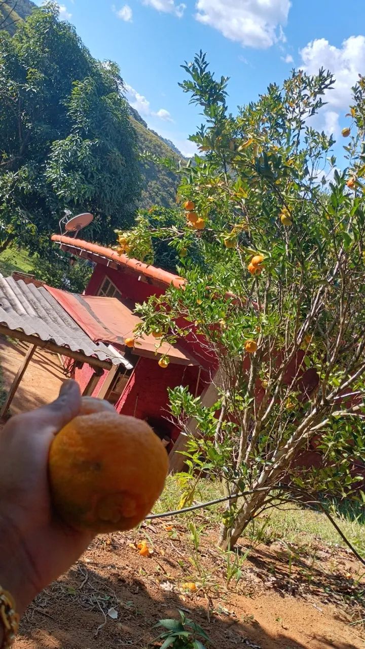 Vendo granja  - Foto 3