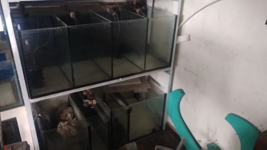Bateria de aquários  - Foto 3