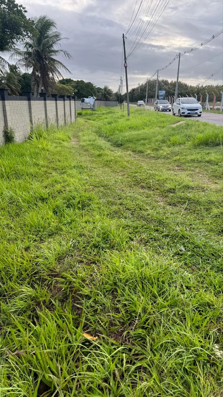 Granja  - Foto 2