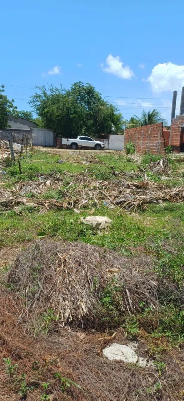Terreno taiba - Foto 3