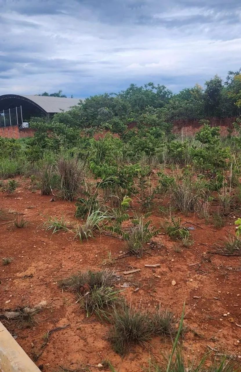 Lotes Quintas e Estancias da Produção - Foto 5