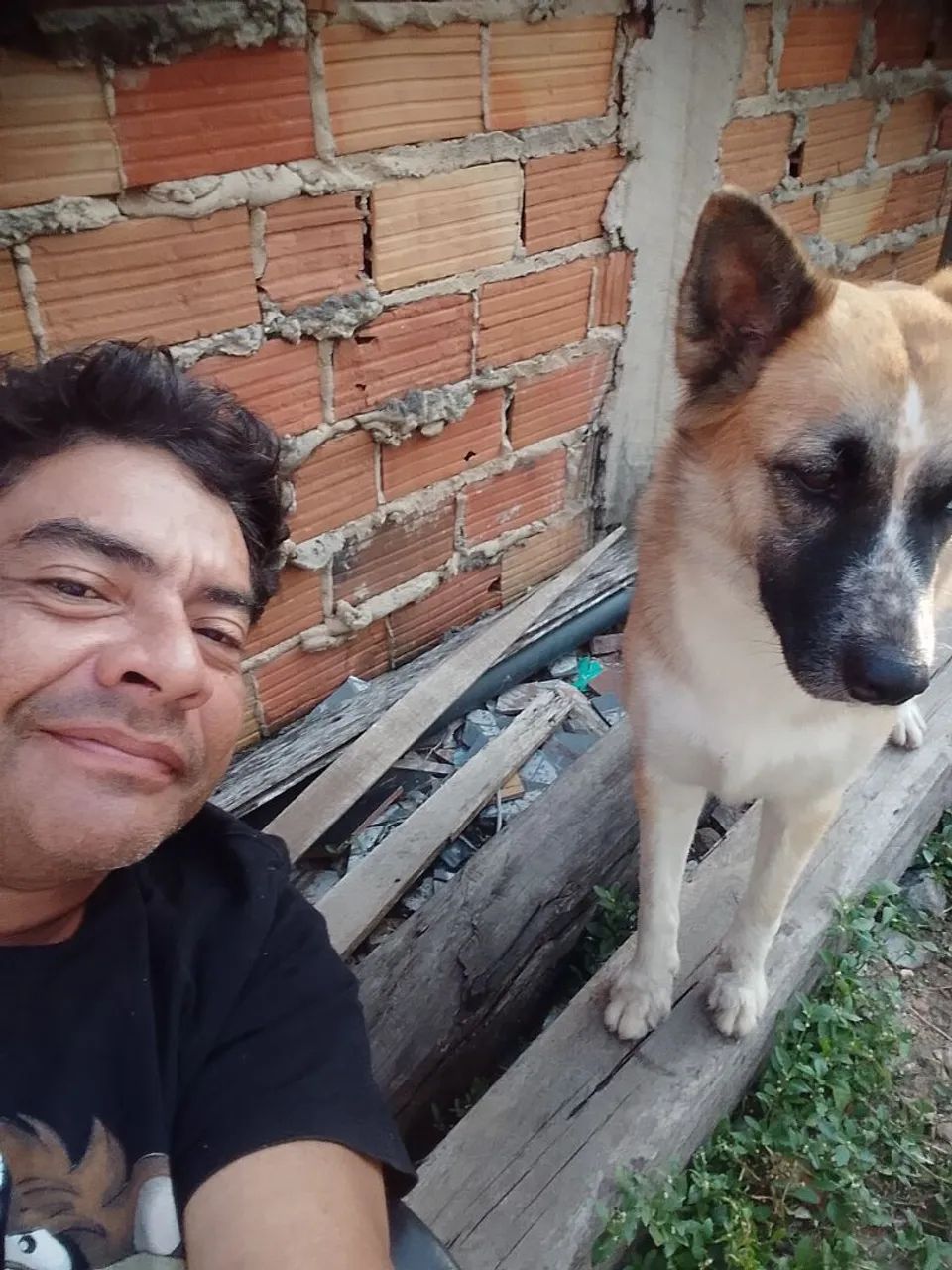 Serviço de banho e tosa  - Foto 5