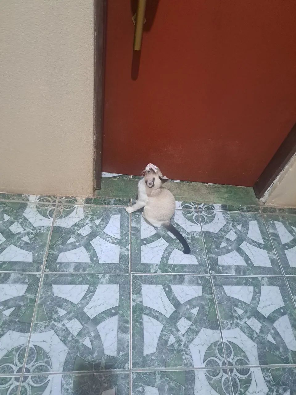 Doação  - Foto 3