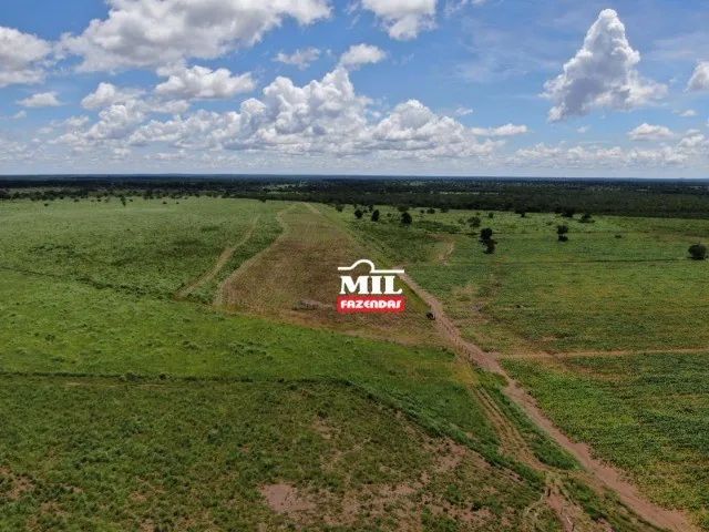 Fazenda 106 alqueires (513 hectares) Nova Crixás -GO - Foto 5
