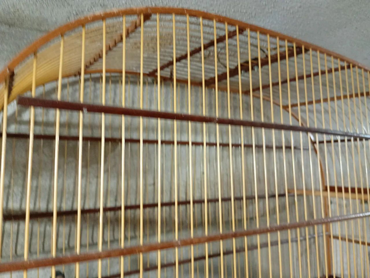 Gaiola 