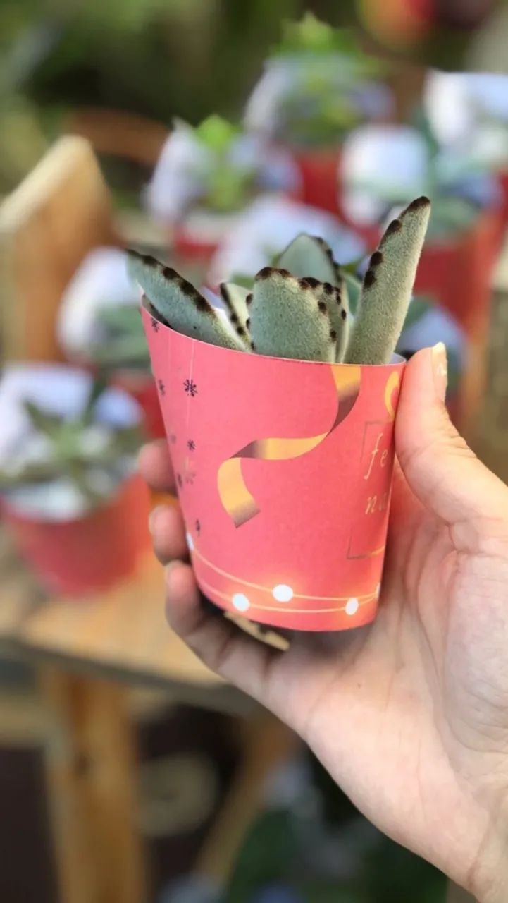 Lembrancinhas para Natal 