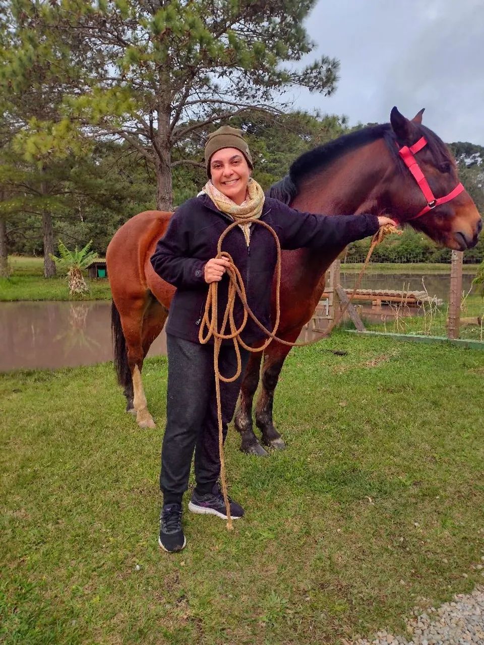 Cavalo Crioulo - Foto 2
