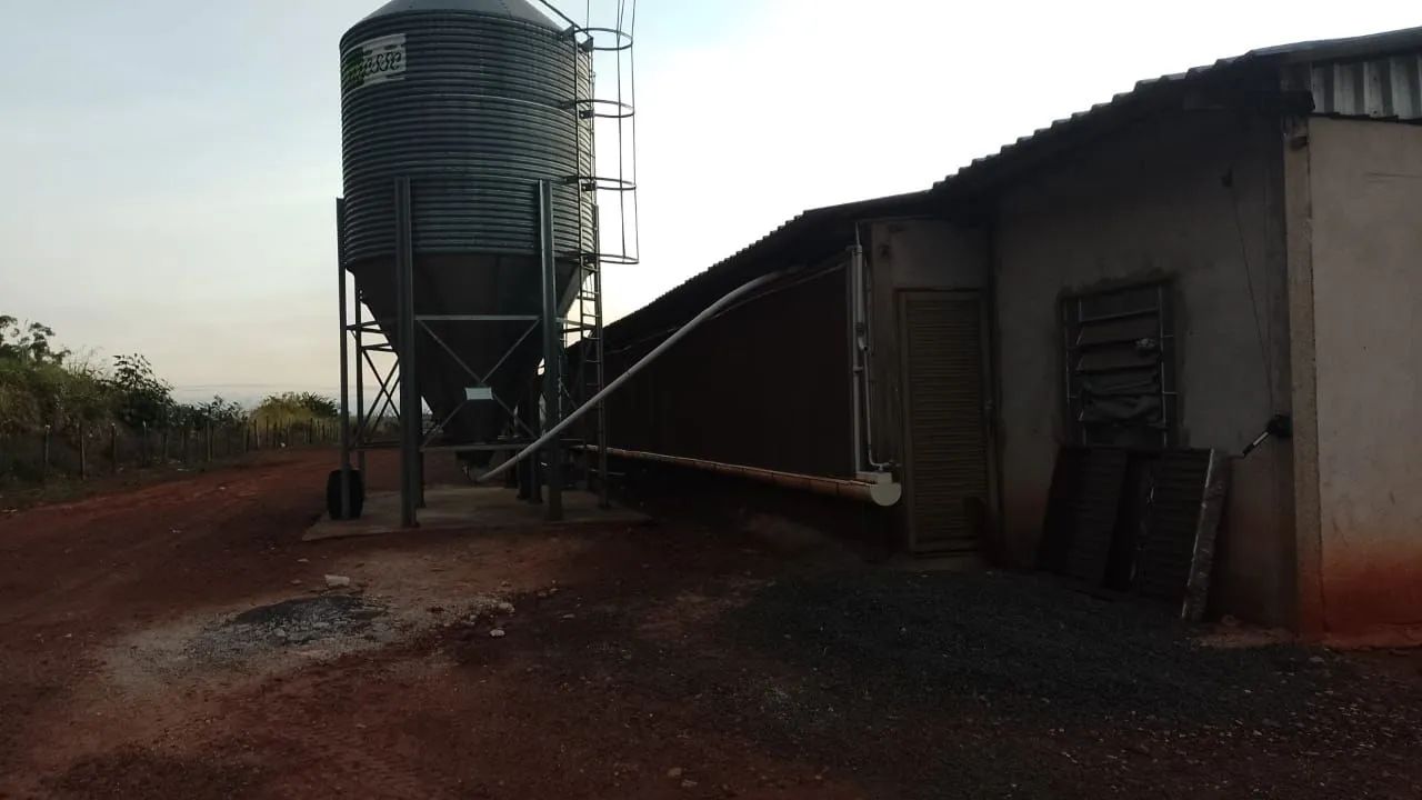 Granja  - Foto 4