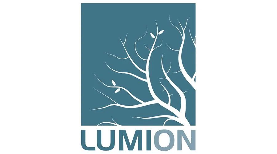 Lumion 10 