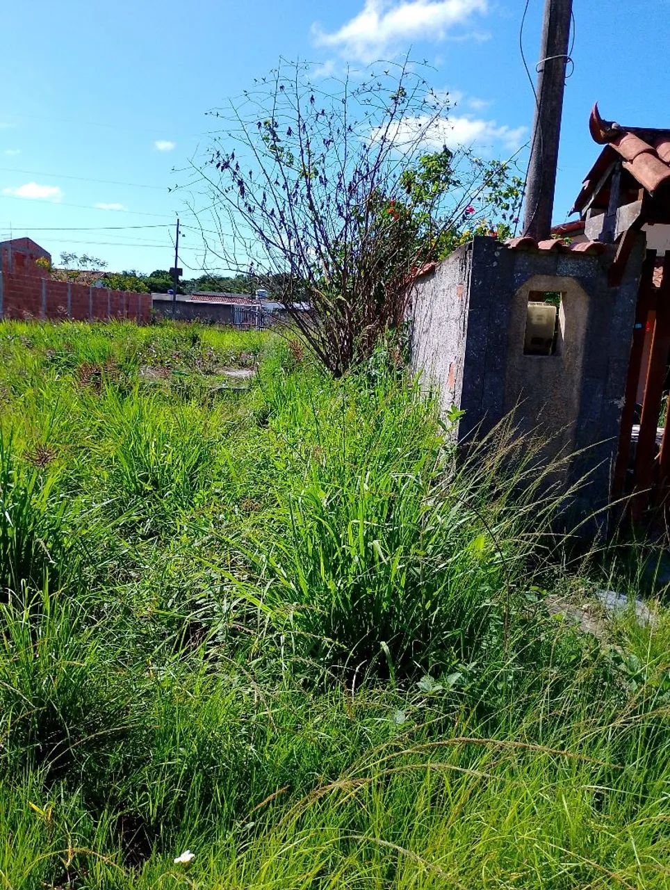 Lote com base construída. - Foto 3
