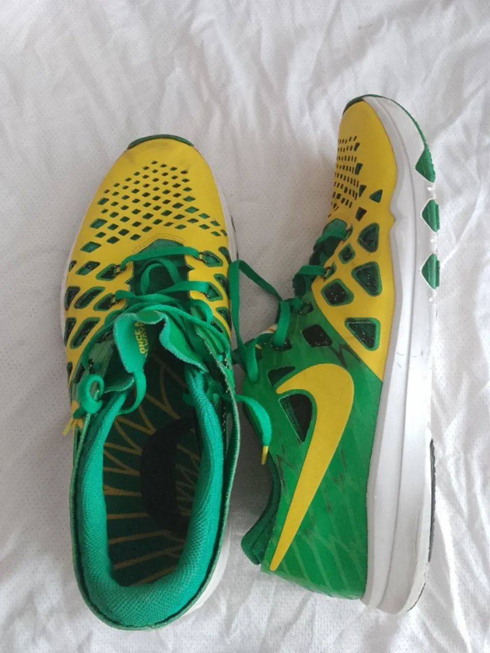 Tênis Nike train speed Oregon Duck university 43