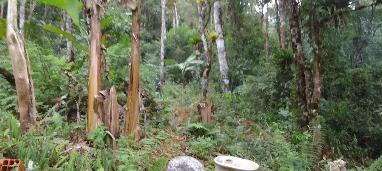 Lindo terreno com ótimo preço a venda em Juquitiba sao Paulo. - Foto 4