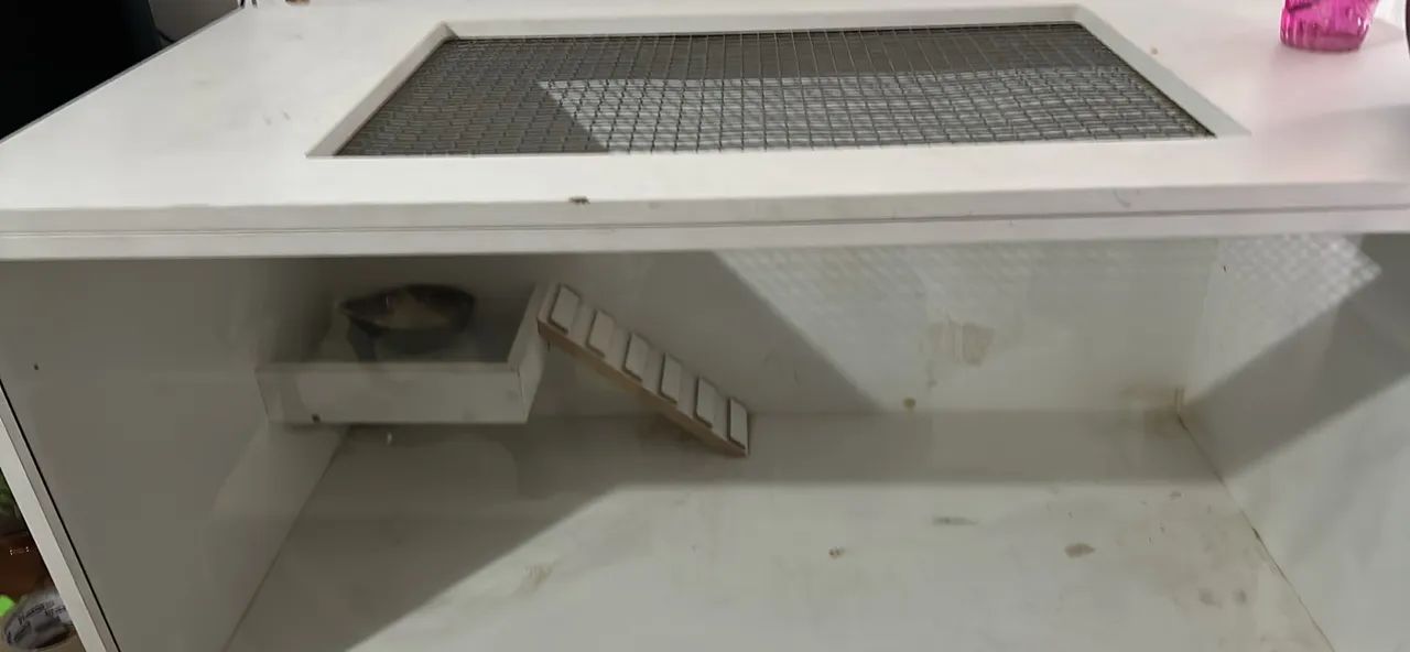 Terrário para hamster - MDF + vidro | 2 níveis - Foto 4