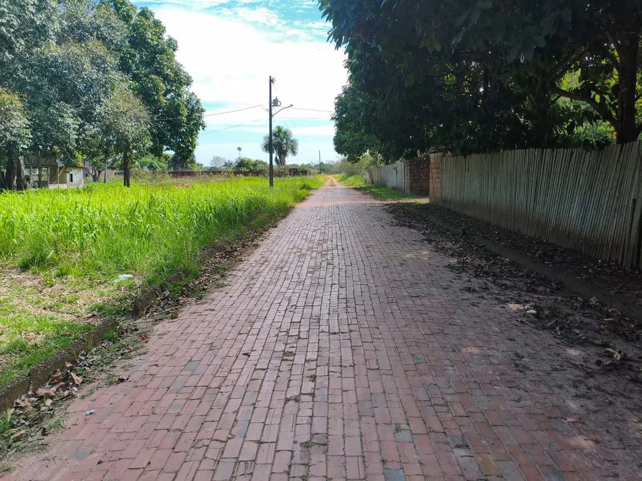 Terreno no ramal Bom Jesus  - Foto 3