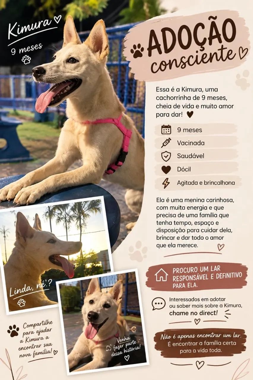 Cachorro  - Foto 3
