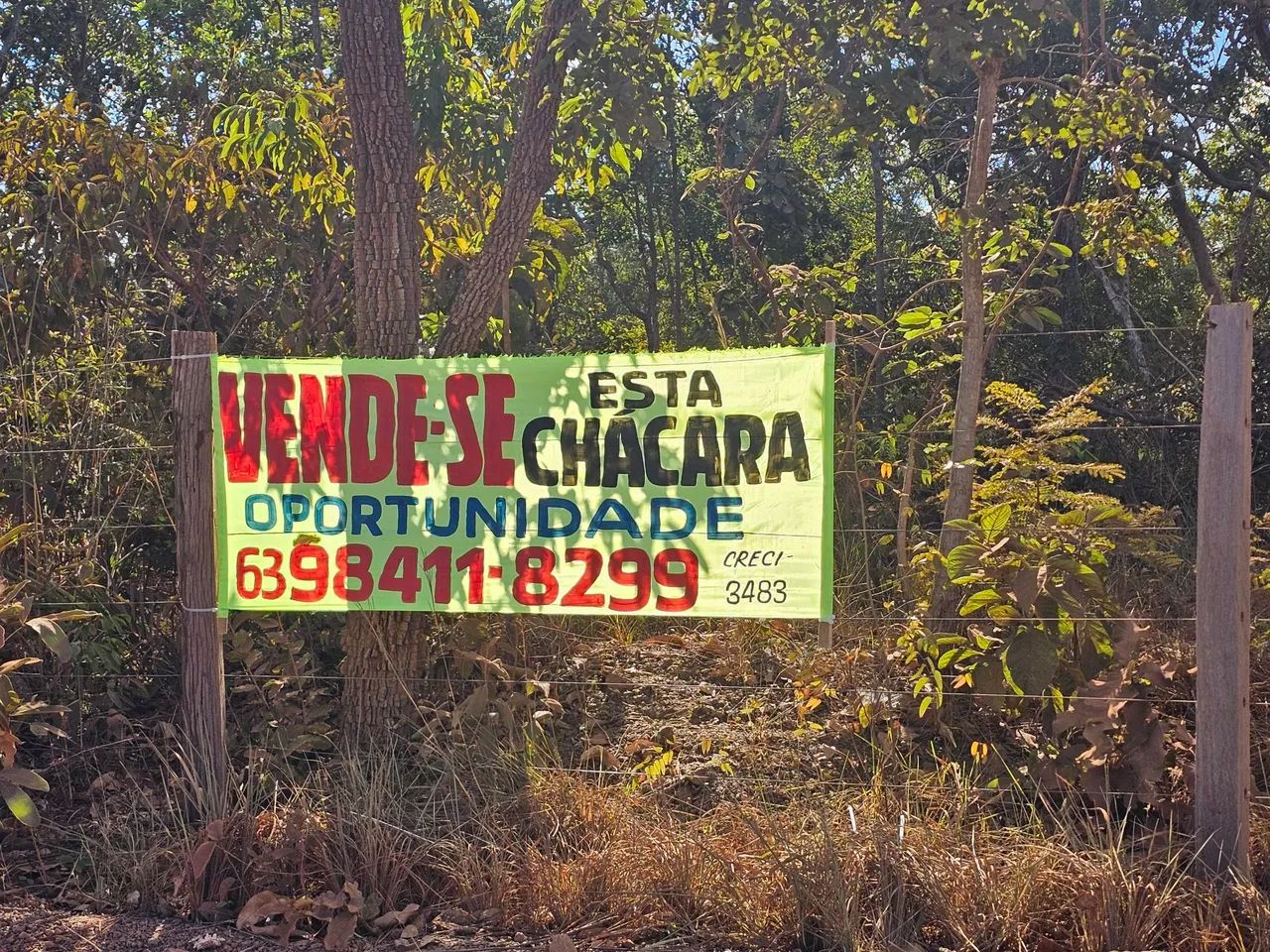 VENDE-SE CHÁCARA EM PALMAS - Foto 5