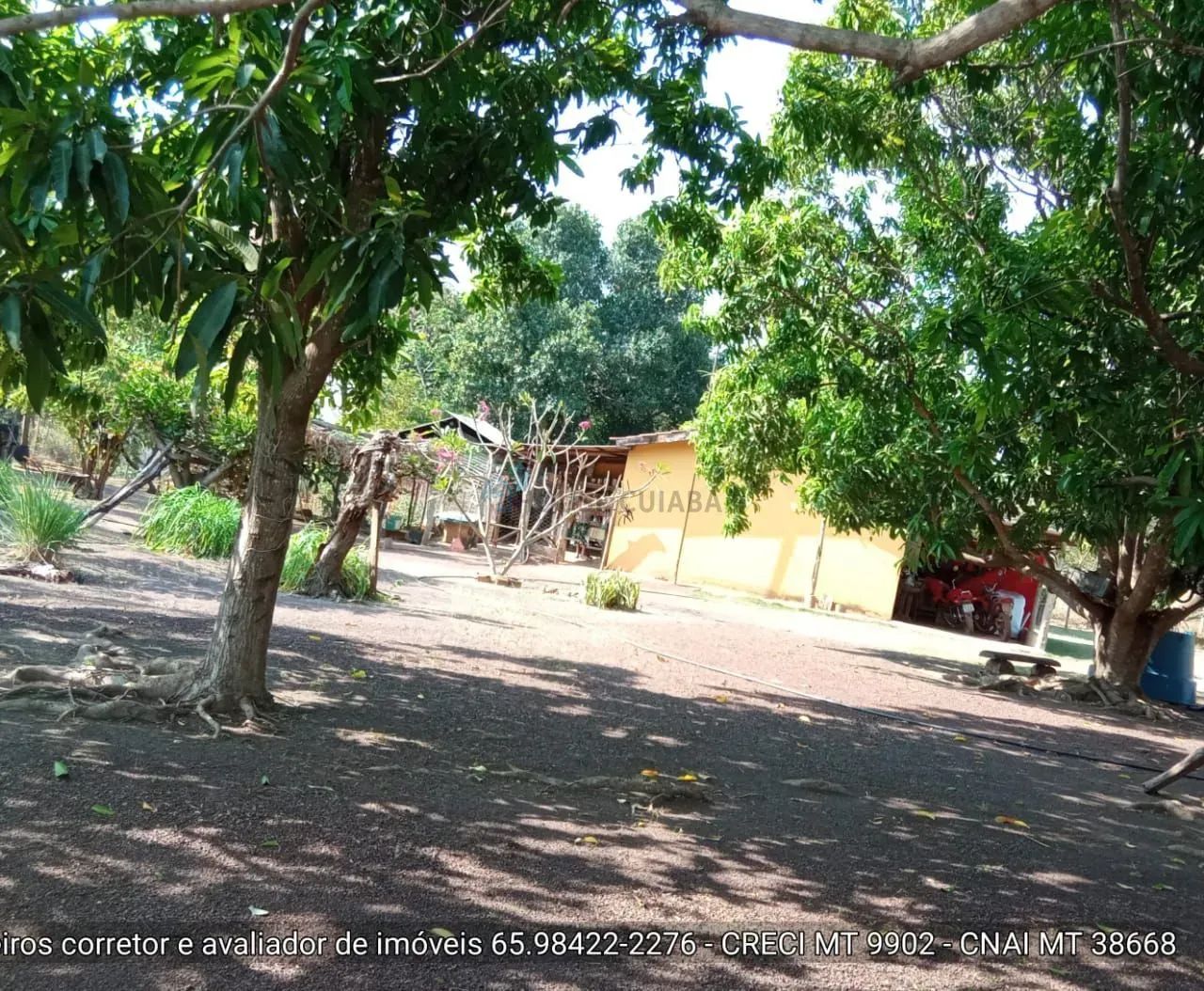 sítio de 30 hectares no assentamento comunidade sadia 3