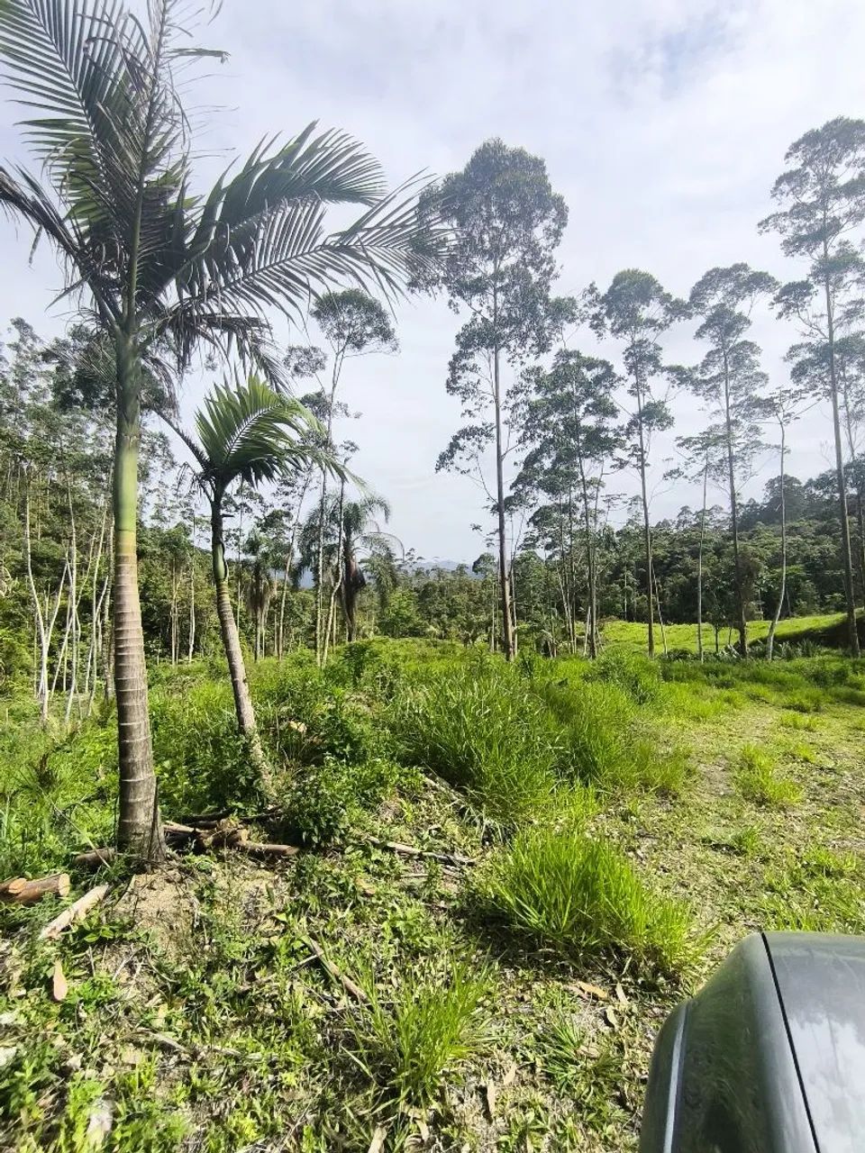 52 Hectares * Aceita permuta - Foto 7