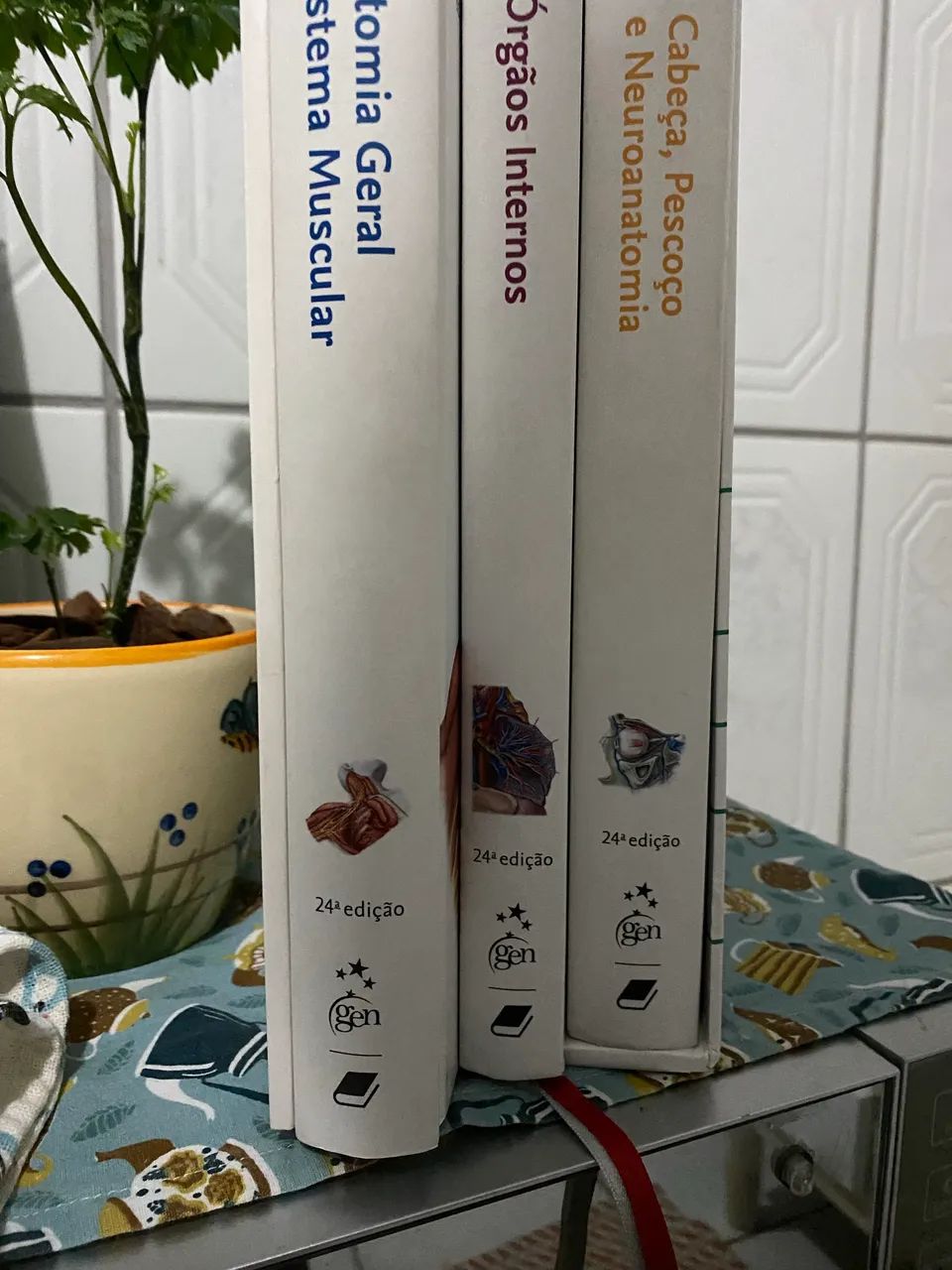 Livros de anatomia Sobotta - Foto 5