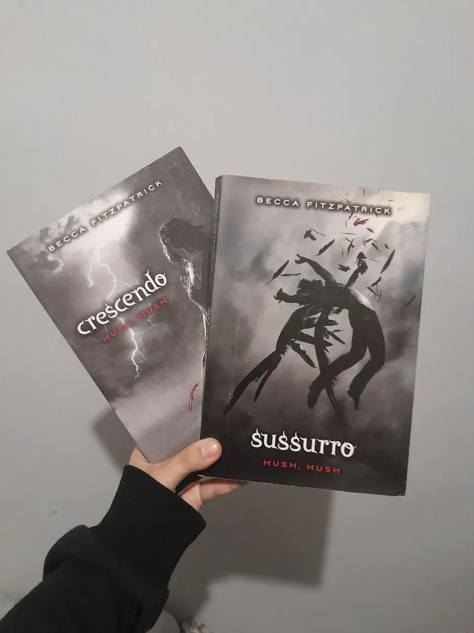 Kit "Hush Hush", de Becca Fitzpatrick - Vol. 1 e 2