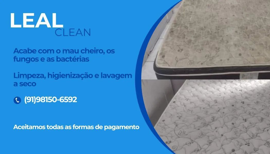 LIMPESA E HIGIENIZAÇÃO DE ESTOFADOS ( LAVAGEM A SECO )