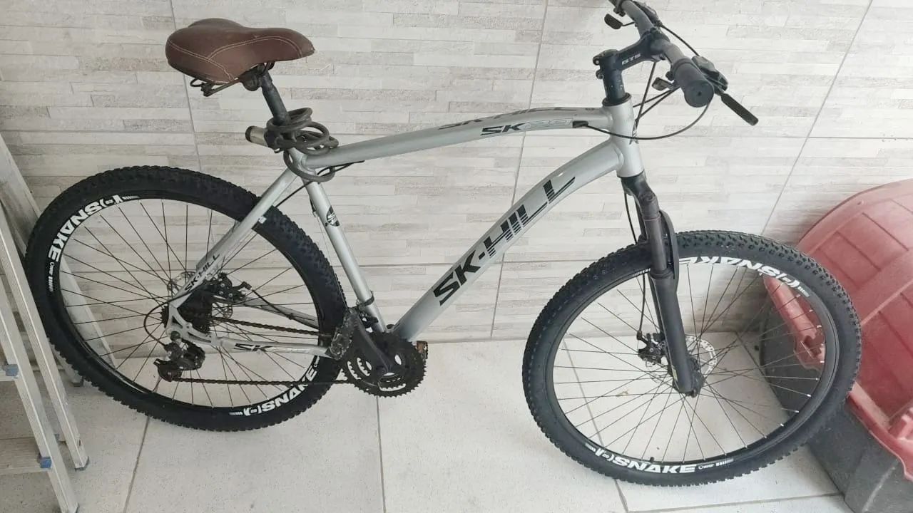 Bicicleta 