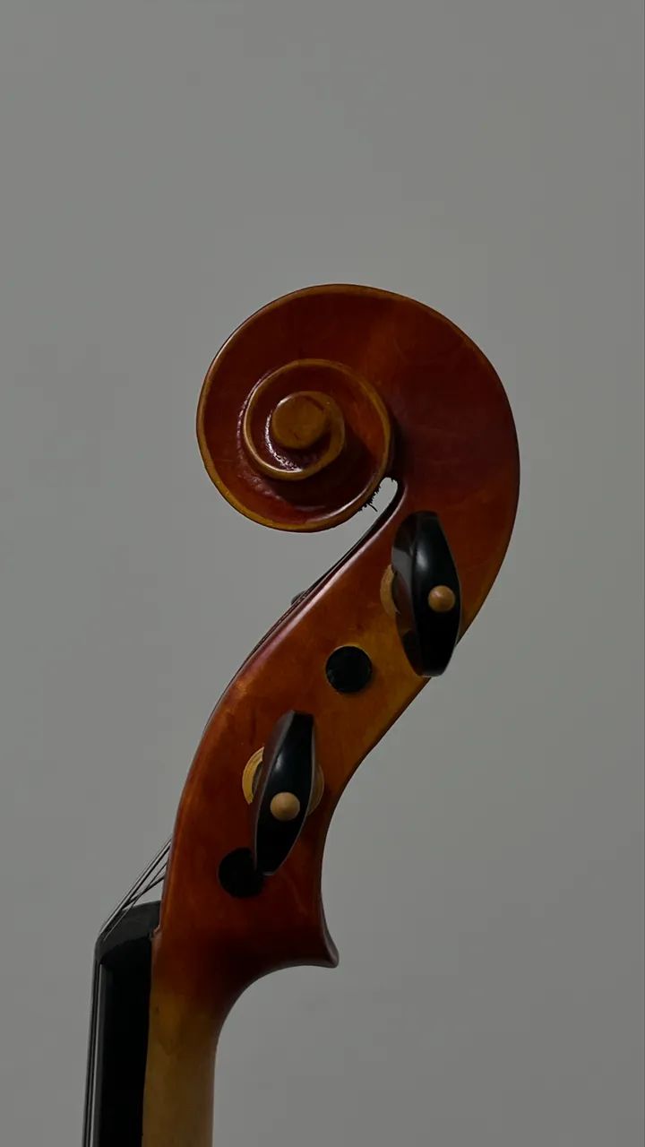 Violino 4/4