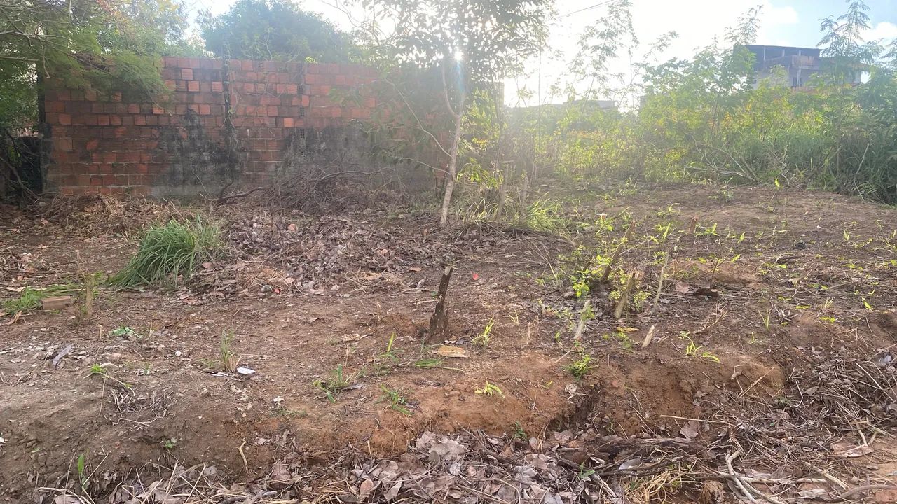 Terreno em Carapibus  - Foto 2