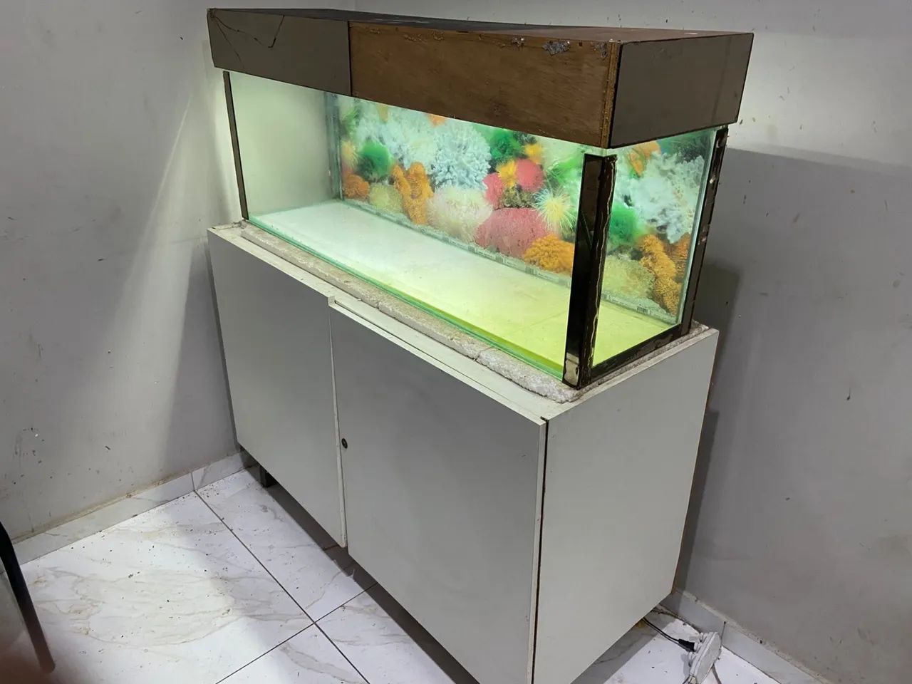 Aquario  - Foto 3