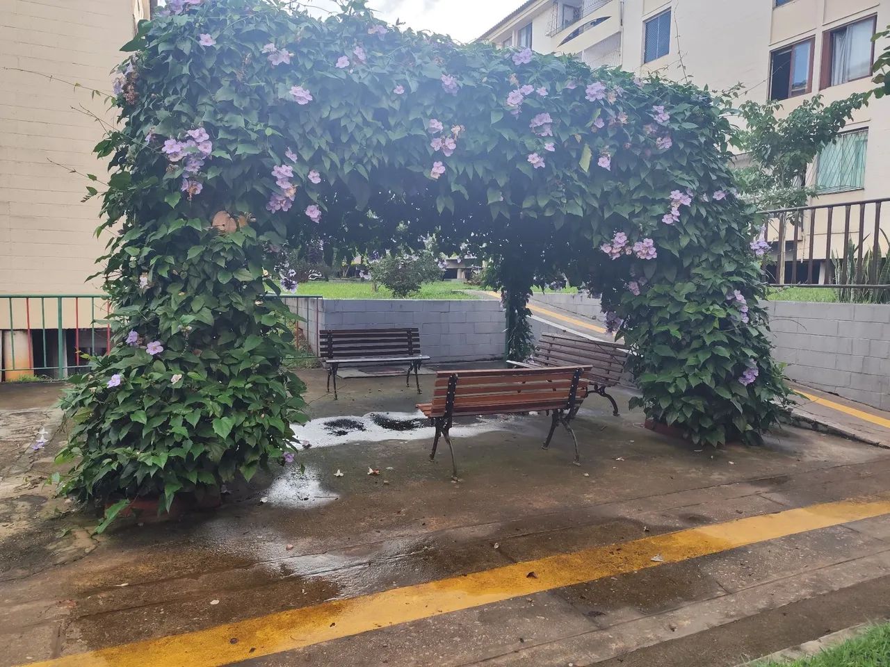 Apartamento segundo andar dois quartos  - Foto 4