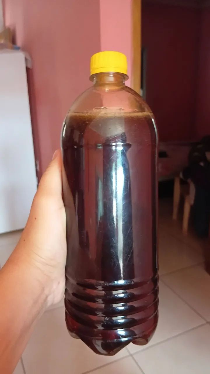 Mel de abelha puro - Foto 2