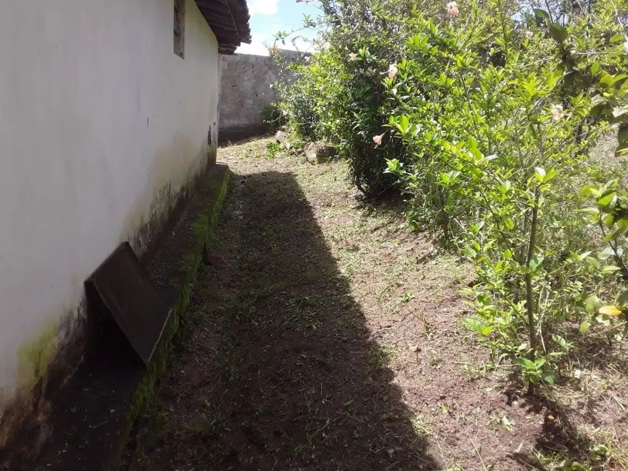 Vende-se Sítio em Alagoa Nova  - Foto 5