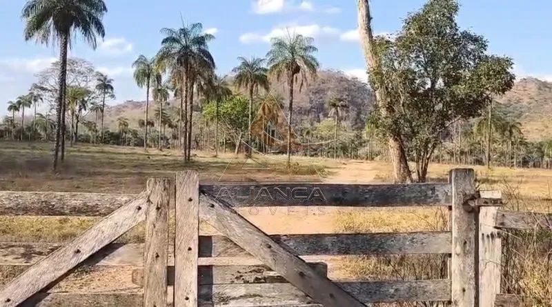 Fazenda - Natividade - Zona Rural - Foto 3